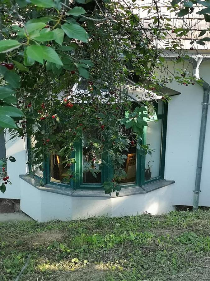 Nyugalomsziget Villa Kotcse Dış mekan fotoğraf