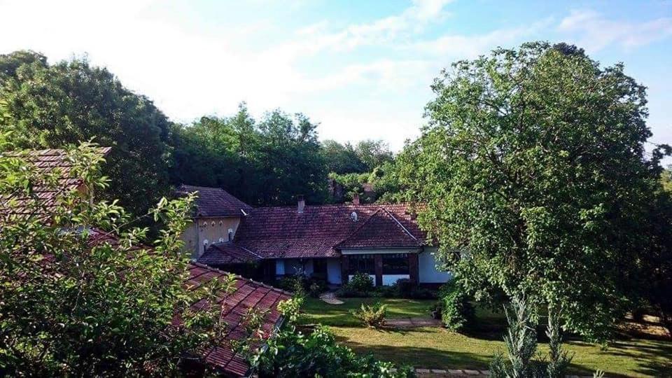 Nyugalomsziget Villa Kotcse Dış mekan fotoğraf