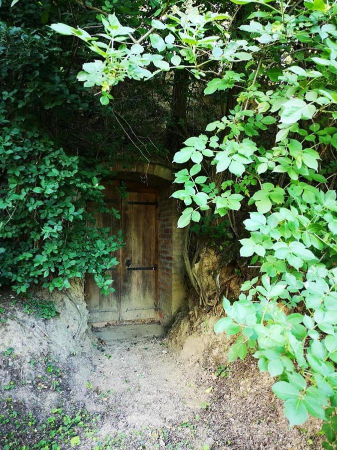 Nyugalomsziget Villa Kotcse Dış mekan fotoğraf