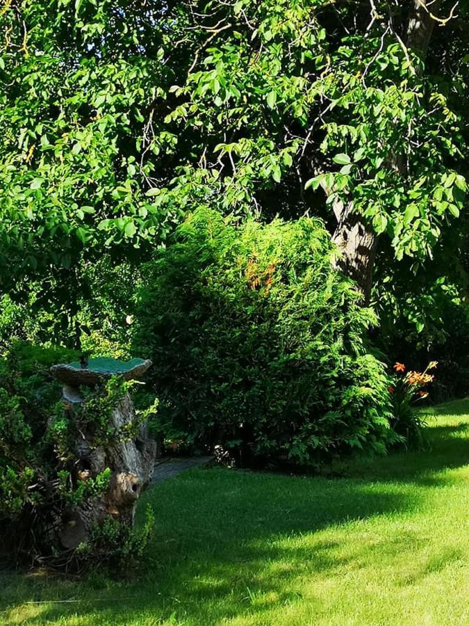 Nyugalomsziget Villa Kotcse Dış mekan fotoğraf