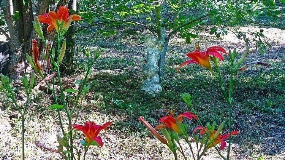 Nyugalomsziget Villa Kotcse Dış mekan fotoğraf