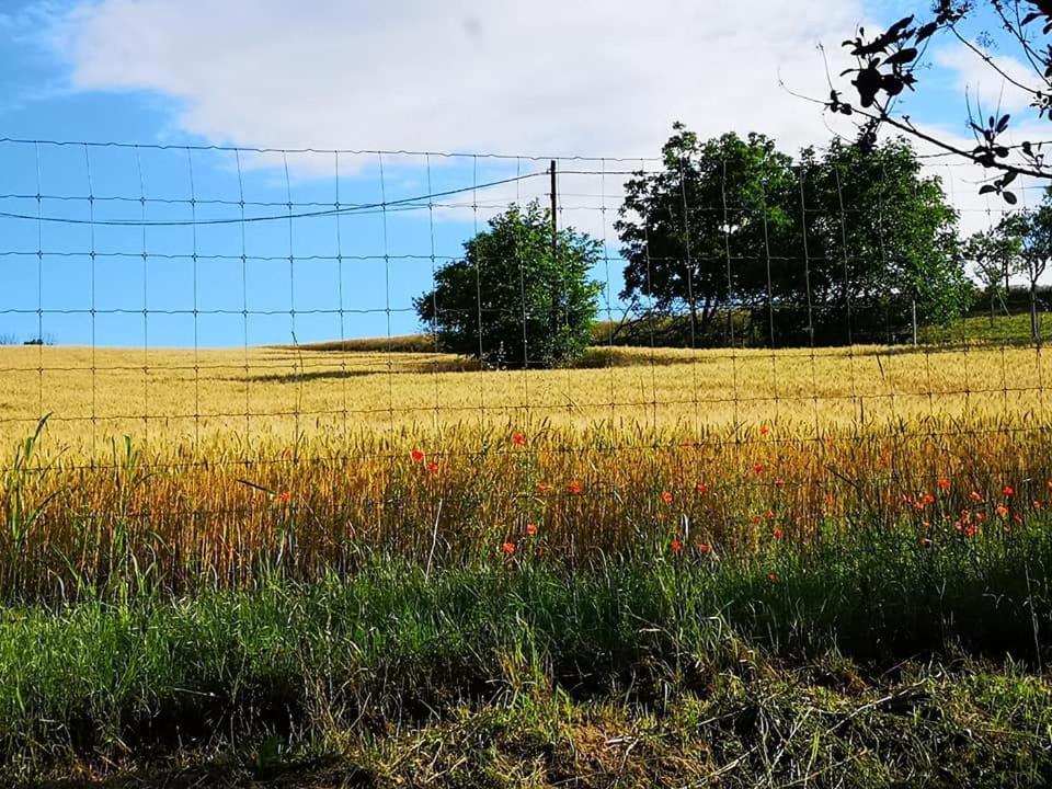 Nyugalomsziget Villa Kotcse Dış mekan fotoğraf