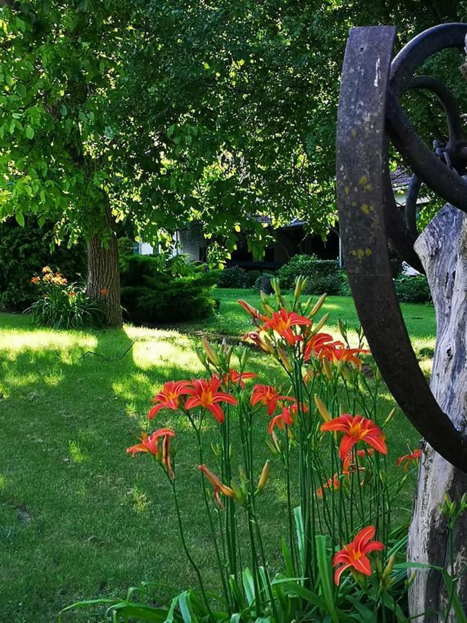 Nyugalomsziget Villa Kotcse Dış mekan fotoğraf